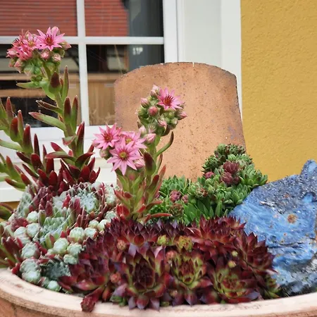 Urlaubshof Turmblick * Kreba