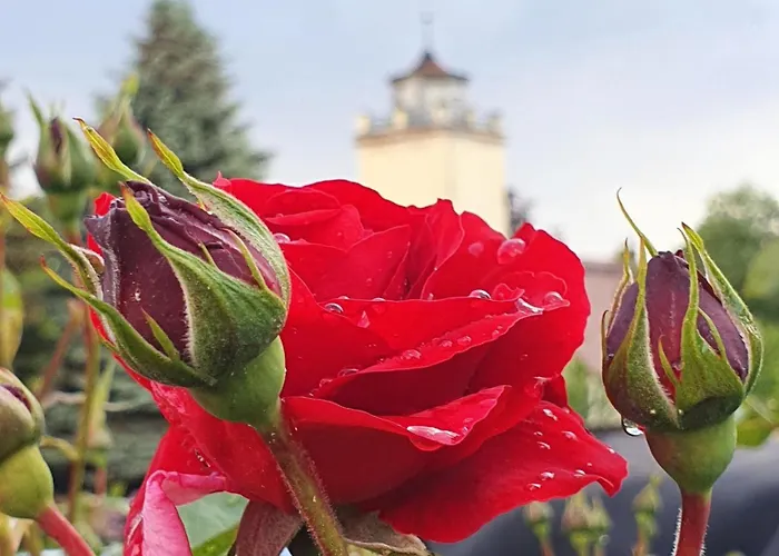 Urlaubshof Turmblick Kreba