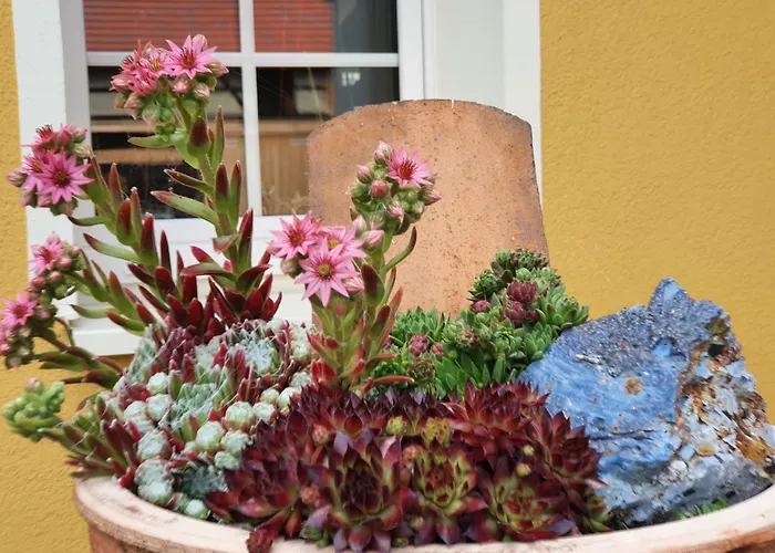 Urlaubshof Turmblick * Kreba